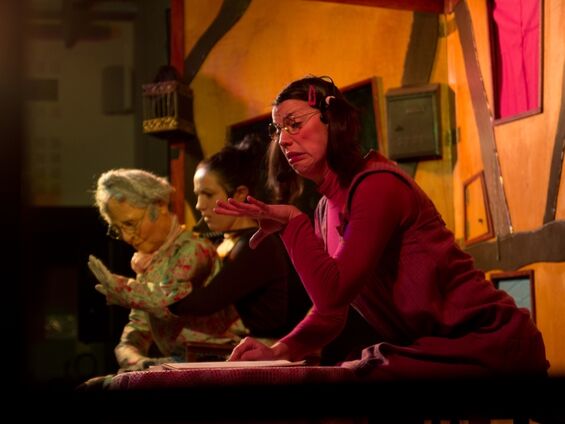 Spectacle de la compagnie l'éléphant dans le boa